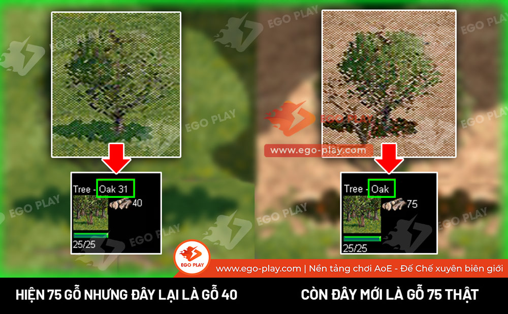 bãi gỗ đế chế