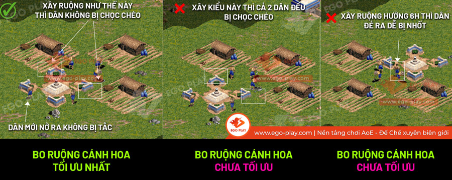 cách bo ruộng aoe