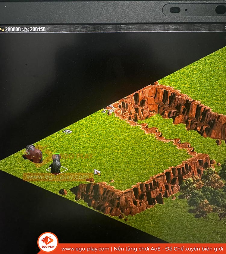 cách câu voi đế chế