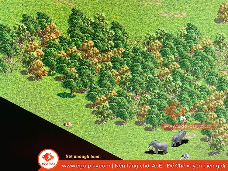 cách phi voi aoe đế chế