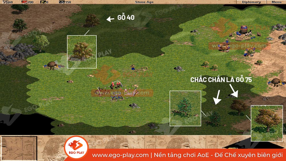 cây gỗ 75 aoe