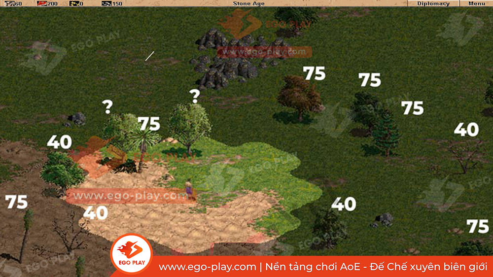 phân biệt gỗ 75 gỗ 40 đế chế