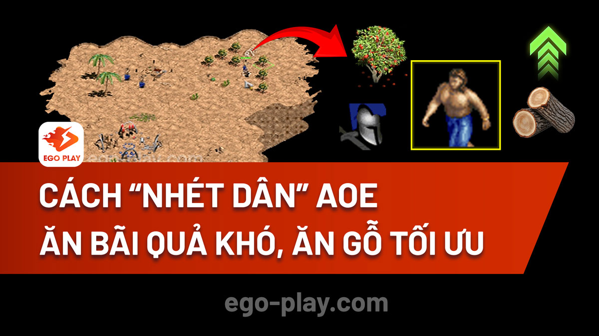 Cách nhét dân AoE ăn bãi quả khó, ăn gỗ tối ưu