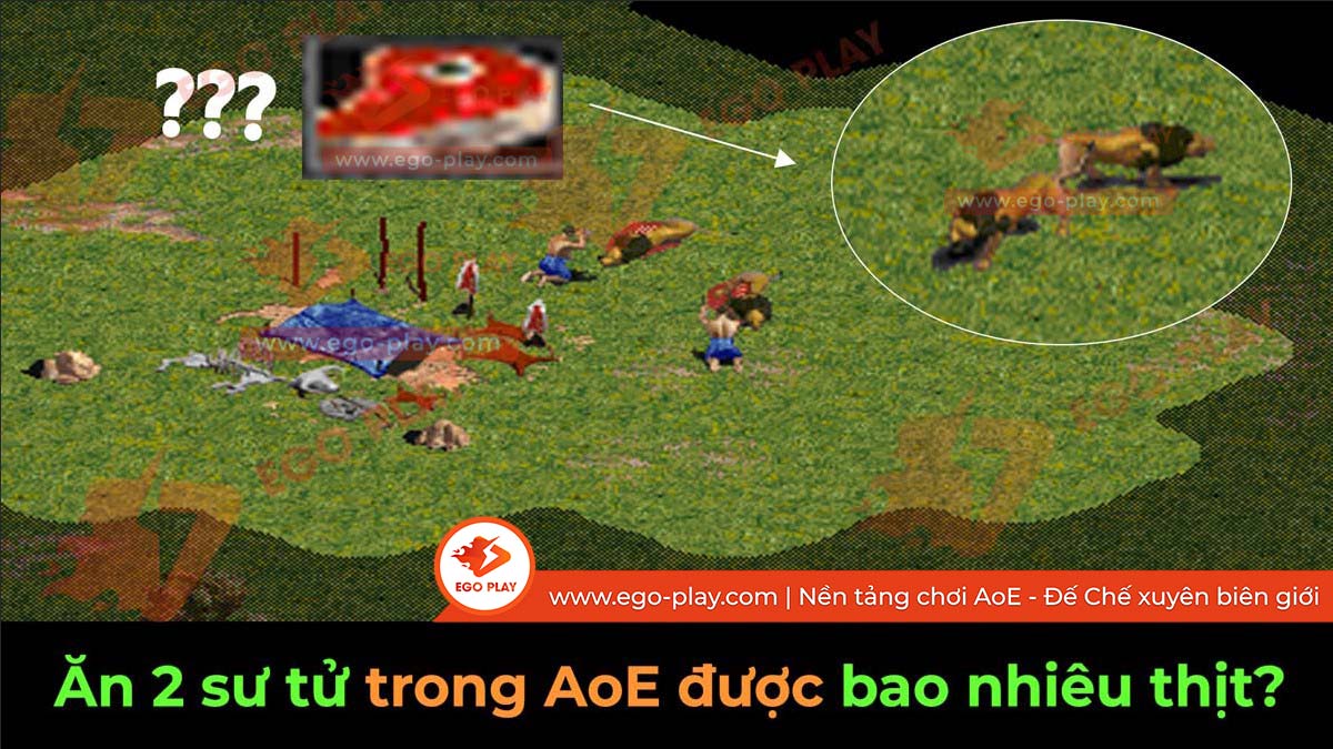 Ăn 2 sư tử trong AoE được bao nhiêu thịt