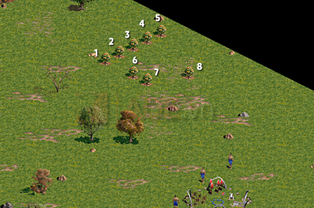 Mỏ quả 8 cây trong AoE