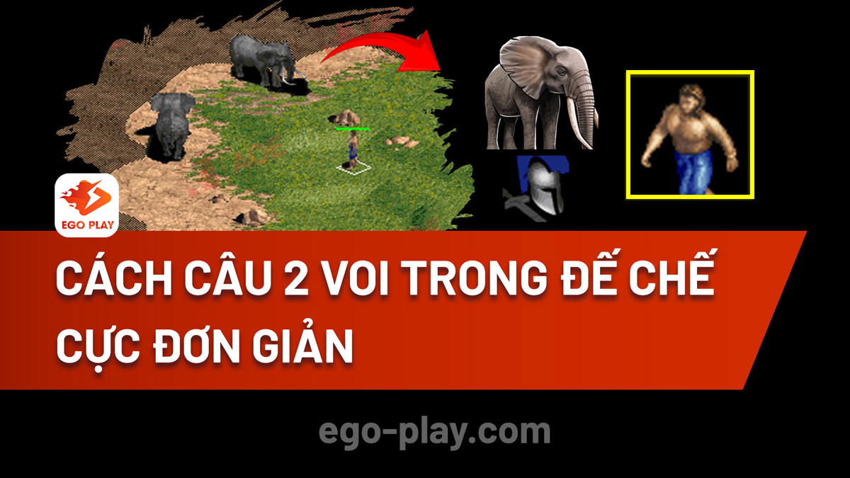 Cách câu 2 voi trong AoE - Đế Chế cực đơn giản