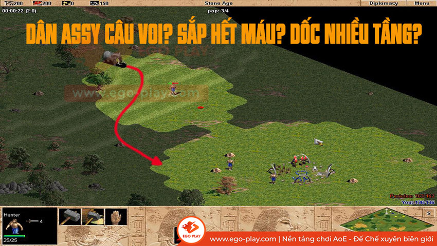 cách câu voi aoe