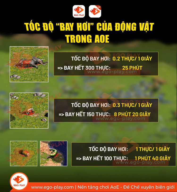 cách tính thực trong aoe
