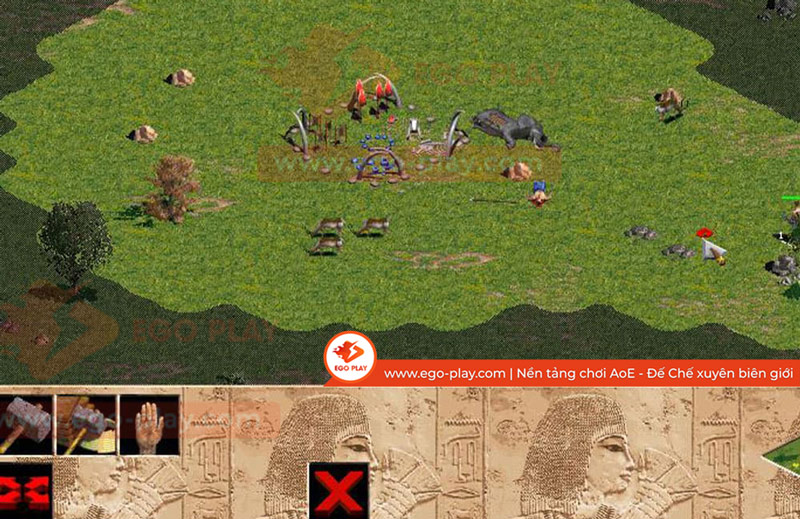 câu voi aoe