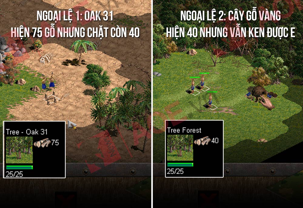 cây gỗ đặc biệt trong aoe