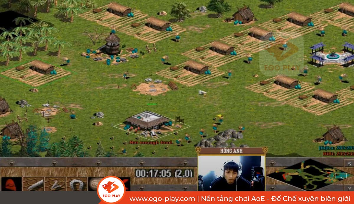 cheat ruộng aoe
