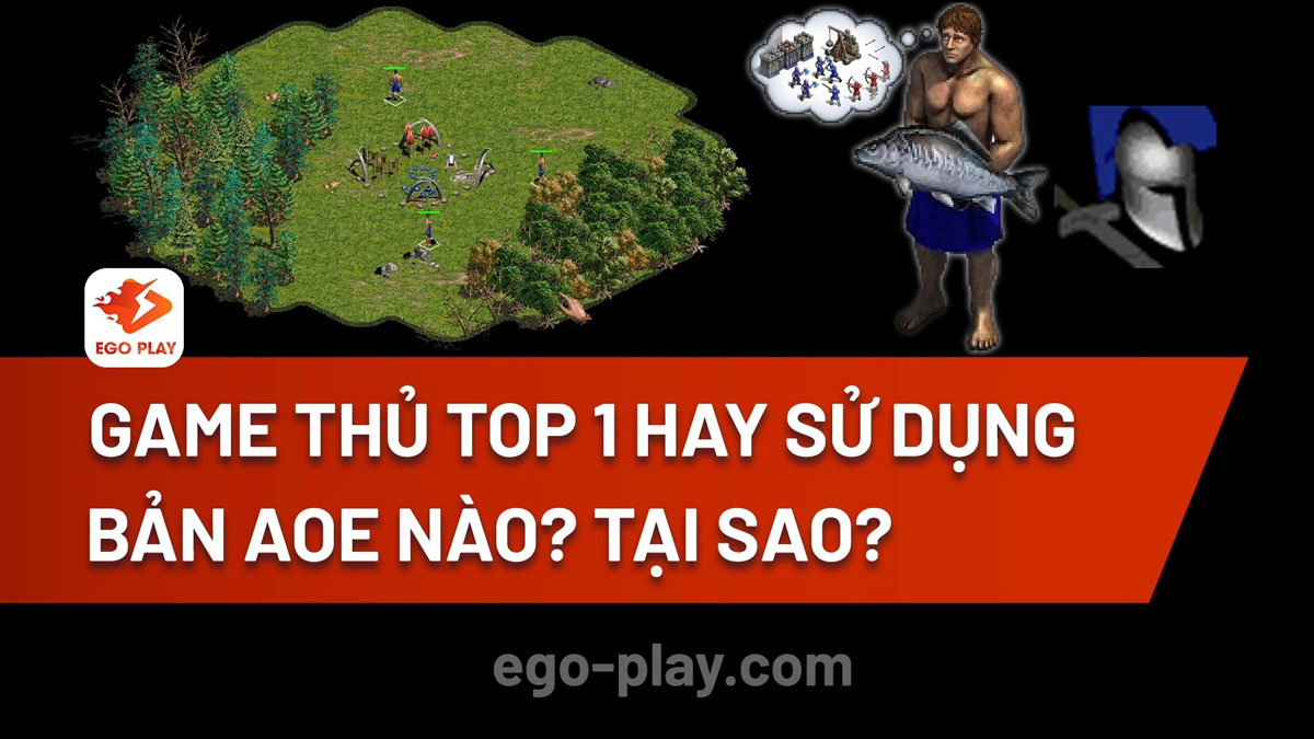 Game thủ Top 1 hay sử dụng bản AoE nào? Tại sao? 