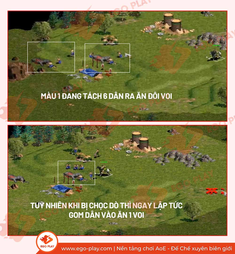 chọc dò aoe