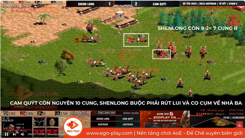 cung R aoe