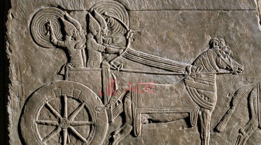 Cung R AoE trong lịch sử