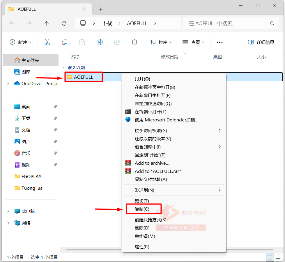 解压后选择AOE FULL文件并复制