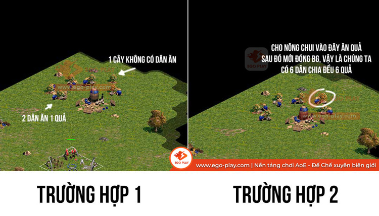 bai qua aoe
