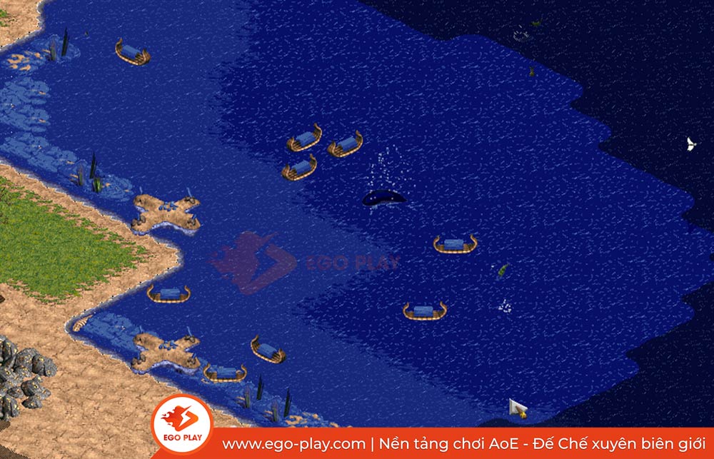 map biển aoe