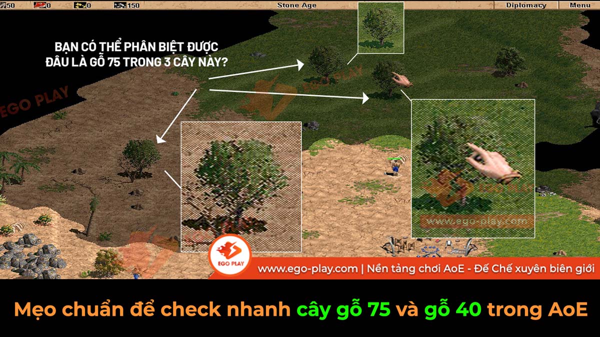Mẹo check nhanh gỗ 75 và gỗ 40 Đế Chế