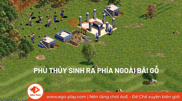 nang cap phu thuy aoe