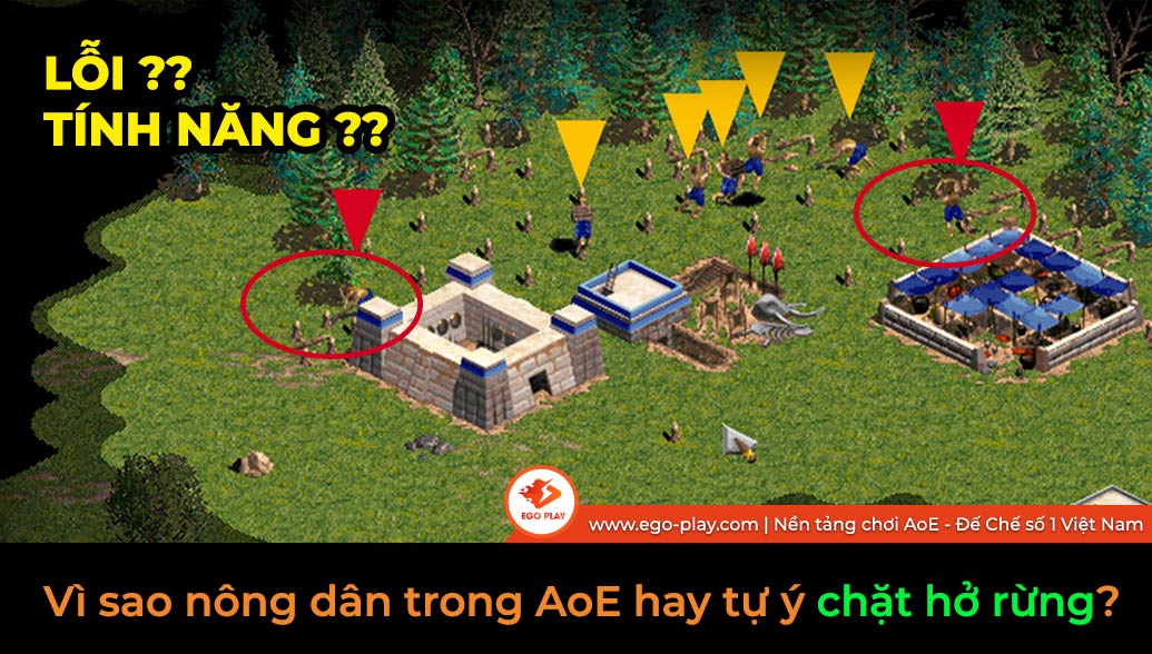 vì sao nông dân aoe hay tự ý chặt hở rừng