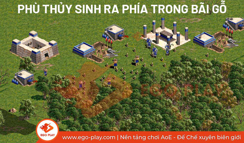 phù thủy aoe