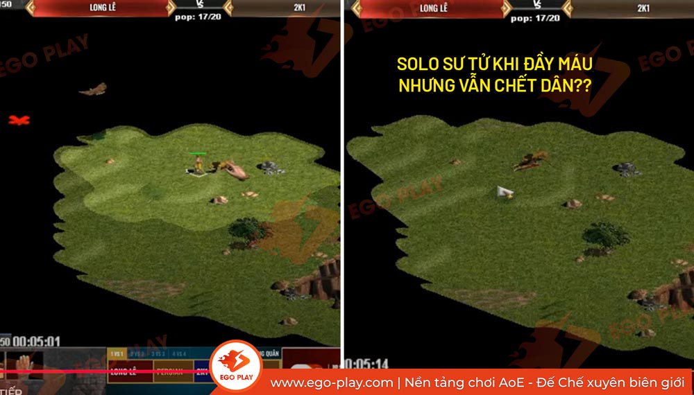 solo sư tử trong aoe