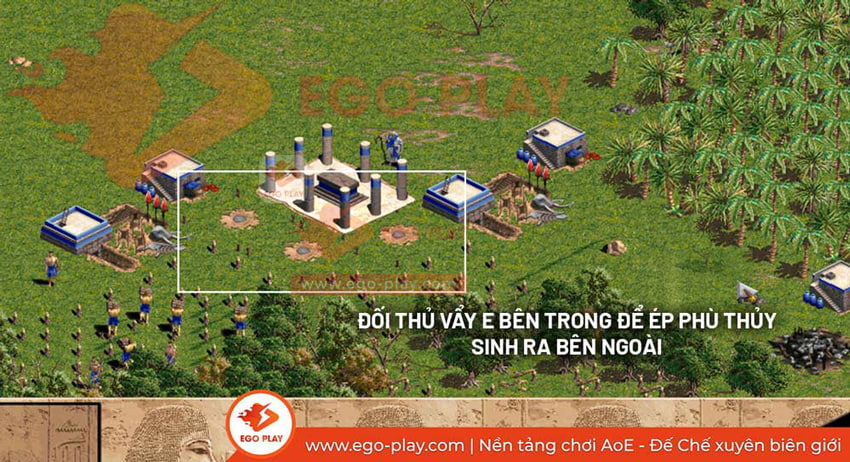 phù thủy aoe