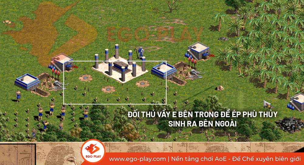 phù thủy aoe