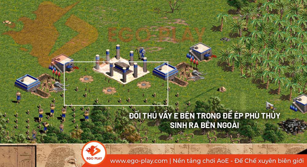 phù thủy aoe